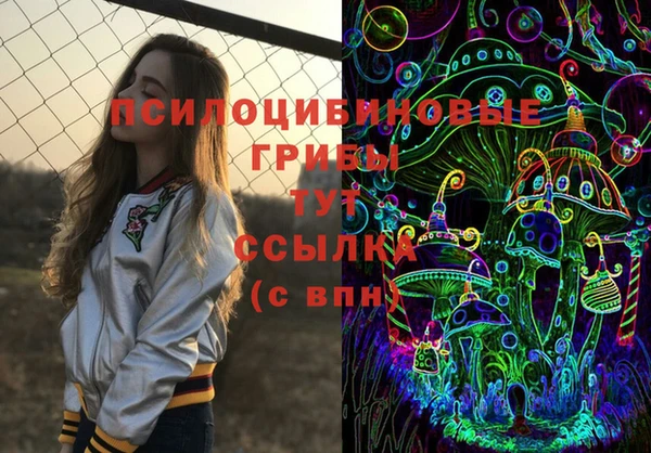 apvp Богданович