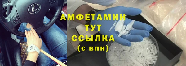 прущие грибы Богородицк