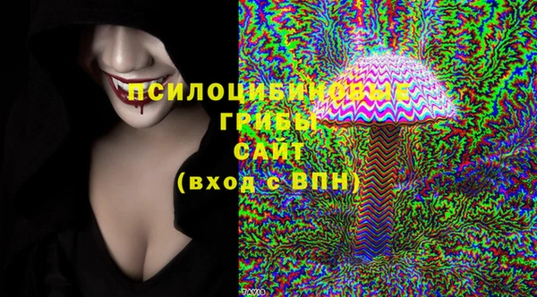 прущие грибы Богородицк