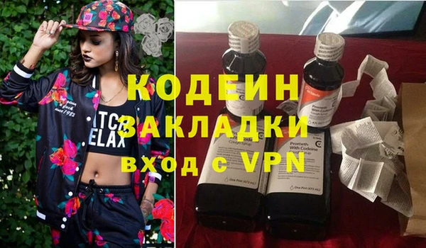 прущие грибы Богородицк