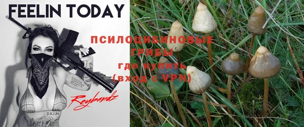 apvp Богданович