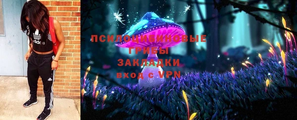 apvp Богданович