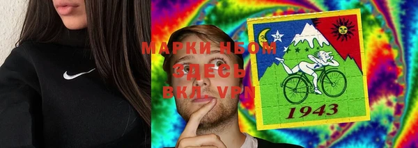 прущие грибы Богородицк