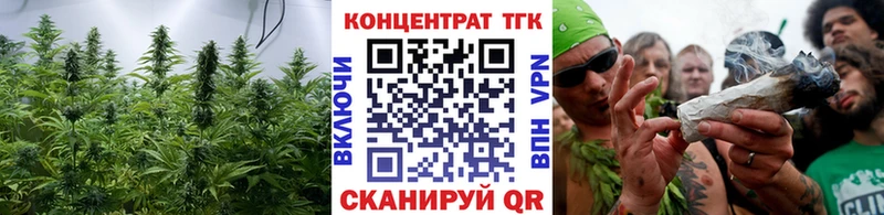 как найти наркотики  Дорогобуж  blacksprut зеркало  Дистиллят ТГК жижа 
