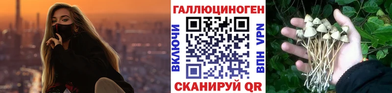 купить  сайты  Дорогобуж  KRAKEN ТОР  Галлюциногенные грибы Cubensis 